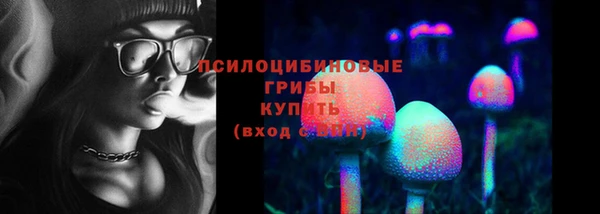 spice Балабаново