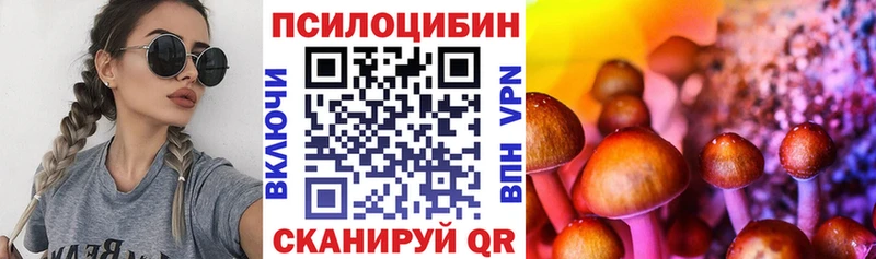 hydra ТОР Зима Галлюциногенные грибы Cubensis как найти закладки
